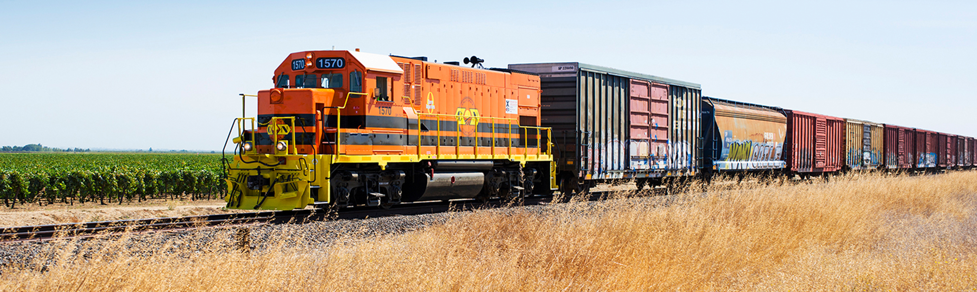 Train pulling freight cars with agriculture fields in the foreground and background