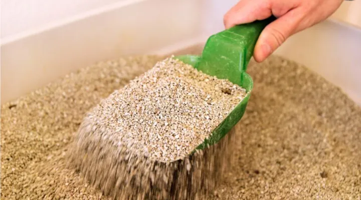 Pet litter being picked up out of container with a green scooper