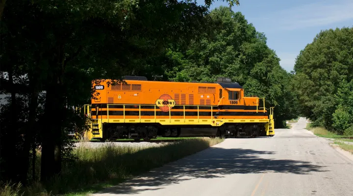 Train traveling on track at street level with trees in the background