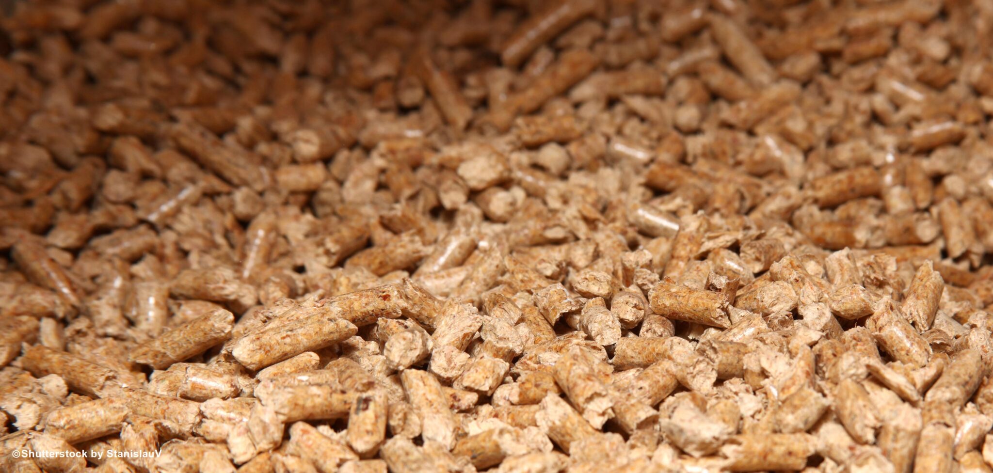 Drax Gets Wood Pellets from Louisiana to U.K. with Help from Rail Link