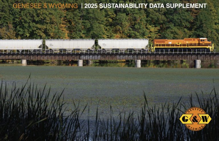 2025 Sustainability Supplement